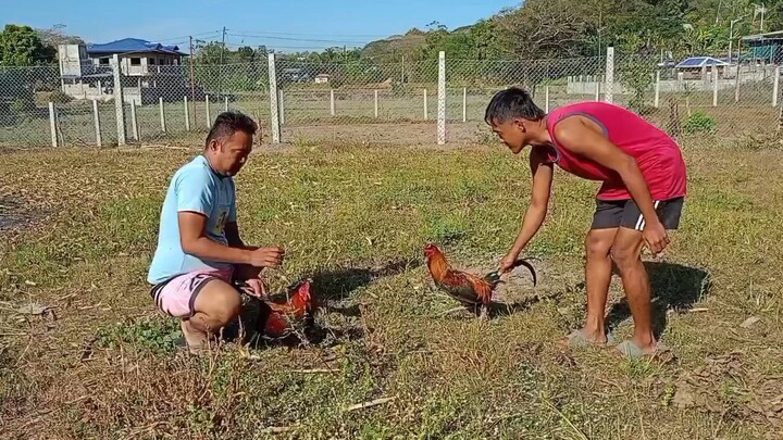 second spar pampu line