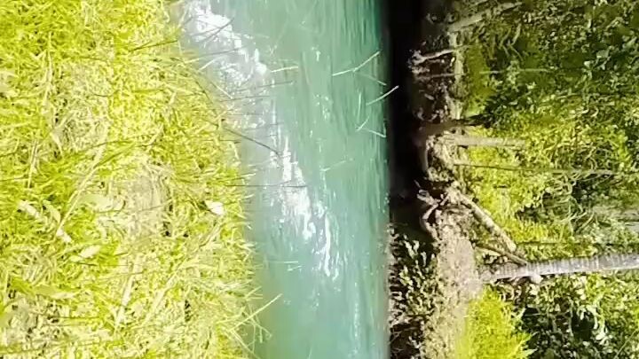 NATURE ISLAND 🏝️