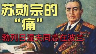 【勋宗の痛】勃列日涅夫同志去波兰干嘛？（苏联笑话勋宗篇）