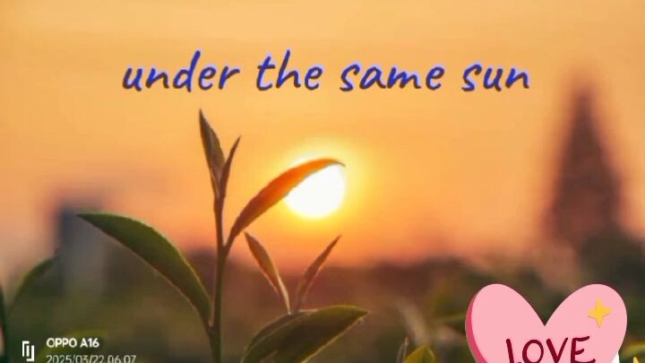 under the same sun