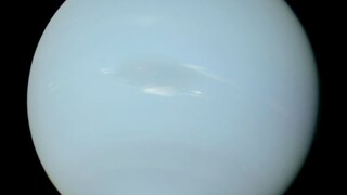 N1ofepacejc[ 1