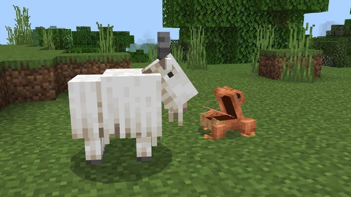 Katak Bisa Makan Kambing di Minecraft!!