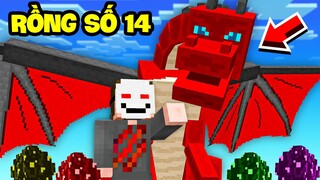 Minecraft nhưng Tôi Có 15 Con Rồng Đặc Biệt