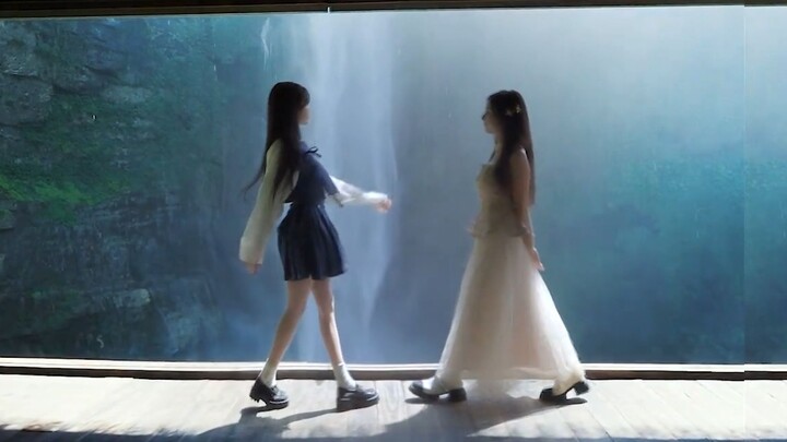 Baby, our postgraduate entrance exam preparation is nothing like a roller coaster.