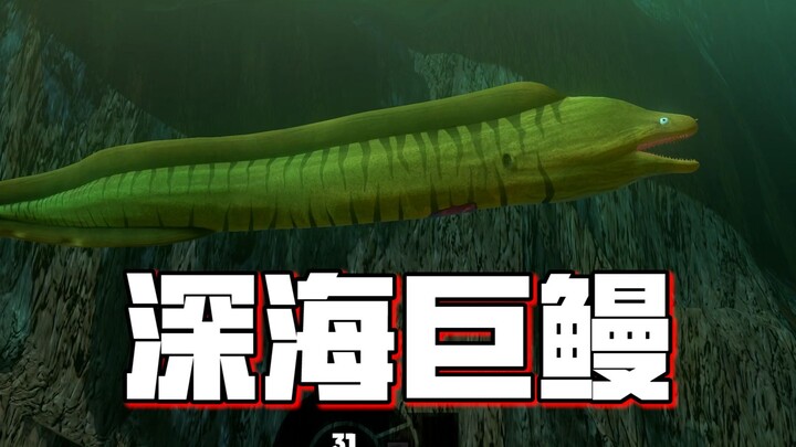 深海巨鳗！跨级吃掉大鱼后，瞬间又粗又大！【海底大猎杀】