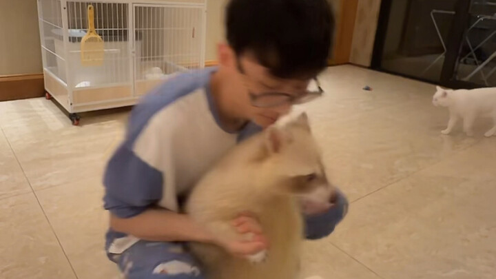 Teaching a Raccoon to Walk