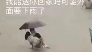 “雨天迷惑行为大赏”