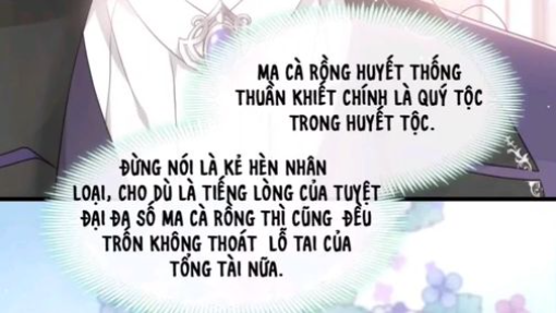 CHAP 3 - TRỌNG SINH THÀNH TIỂU ĐIỂM TÂM NGỌT CỦA HUYẾT TỘC TỔNG TÀI!