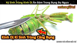 Tìm Bắt Kí Sinh Trùng Cực Kinh Dị Ăn Bám Đến Căng Bụng Bọ Ngựa || Review Giải Trí Đời Sống