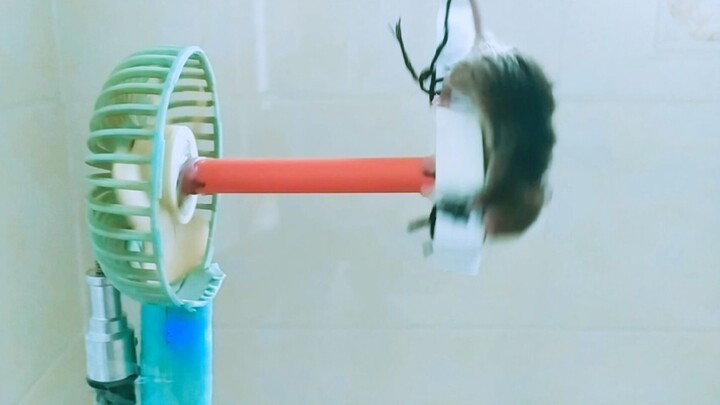 Mouse: Is this… “devil mode” training?