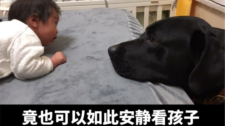 Bạn có tin vào tình yêu chân chính xuyên loài không? Mình cảm động đến mức không nói nên lời!