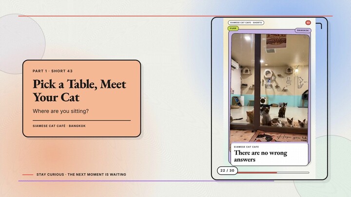 Siamese Cat Café #22 — Pick a Table, Meet Your Cat + Your Birth Month, Your Café Cat