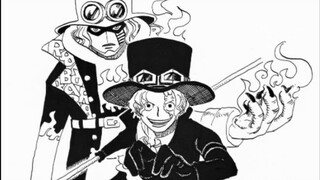 【海贼王】如果“恶魔果实”能力跟JOJO的“替身”能力一样可以实体化的设定…