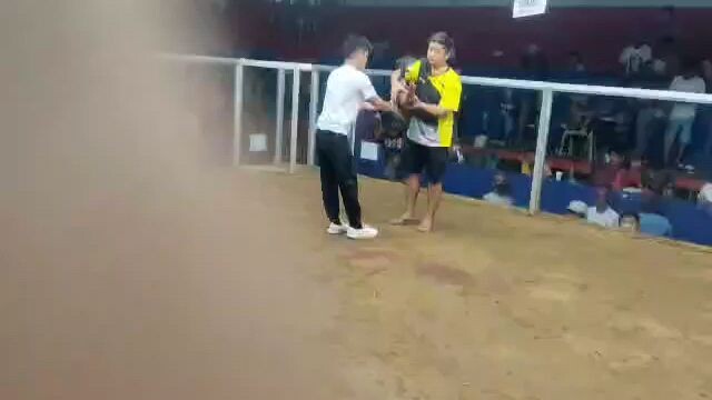 BBCA entry name ALEX 2nd fight 2-19-23