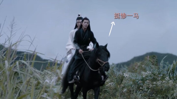 Kuda dalam "Chen Qing Ling" sangat menyedihkan