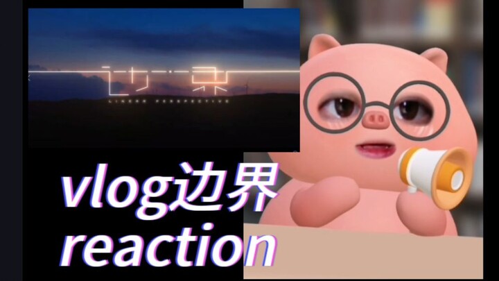 【肖战-边界reaction】vlog天花板级别，一把子震撼住了