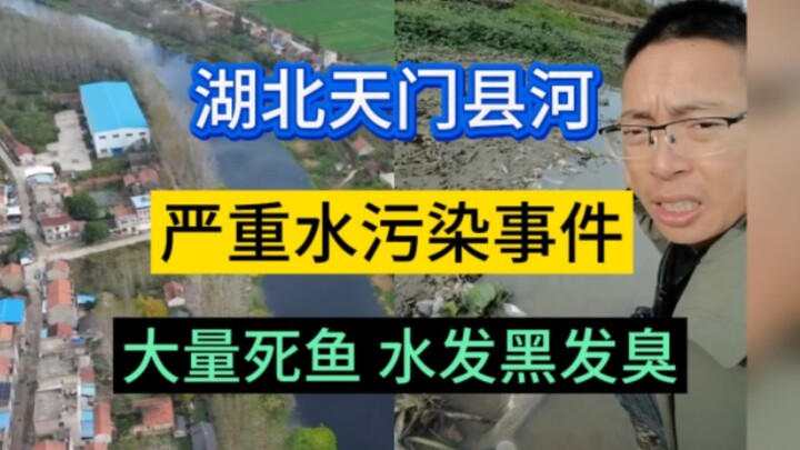 Sungai di Kabupaten Tianmen, Hubei: Terjadi kasus pencemaran air parah, dengan banyak ikan mati, air