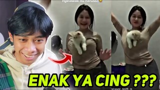 NETIZEN : TUTORIAL JADI KUCING ‼️
