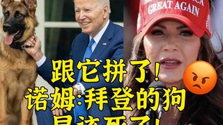 跟美狗一号拼了！诺姆愤怒发声：拜登的狗早该死了！