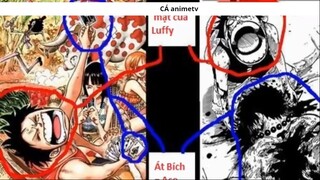 Những chi tiết _thánh_ Oda đã rãi nhằm cảnh báo về cái chết của Shanks ! 5