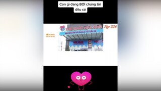 Chúc các bạn năm mới An khang - Thịnh Vượng xuhuongtiktok topcomment phimhai Hello2022