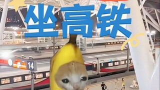 Follow the cat meme to experience the entire high-speed train journey—master it in just one try!