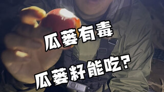 瓜蒌有毒但瓜蒌籽却能吃？