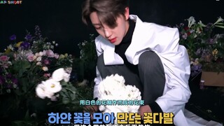 【SVT_ZER·0】[لقطات سيفتين] الحلقة 16: صناعة باقة زهور، محطة صفر، مع ترجمة بالصينية الوسطى