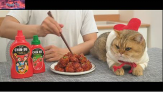 Japan cooking : Fried chicken with spicy sauce 3 #bepNhat