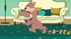 Tom and jerry | at home komplikasi