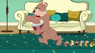 Tom and jerry | at home komplikasi