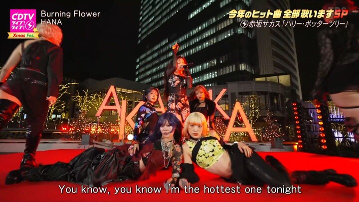 HANA - Burning Flower [2025.12.22]
