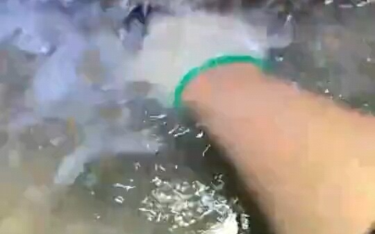 ظننت أنه أمسك بالسلطعون، لكن اتضح أن السلطعون هو من أمسك به.