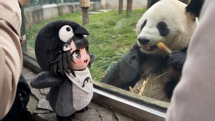 Taking Little Guga to the Zoo (Part 1)