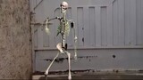 Back to Life (Music by Nyll Mergello) Dance of the Skeletons