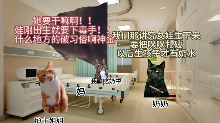 【猫meme】仅出生一周便让妈妈和奶奶结下血海深仇