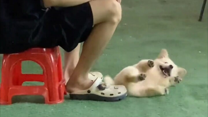 شوّش هذين الحبيبين لدرجة أنهم فقدوا صوابهم!