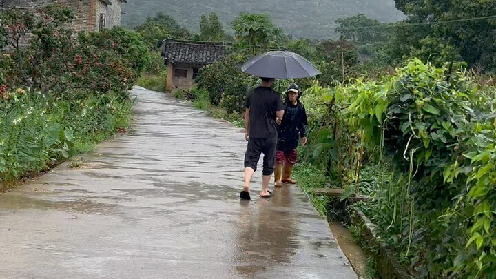 Ada terlalu banyak buah di Guangxi, padahal hal itu justru membuat orang sedih
