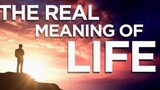 The TRUE and REAL meaning of LIFE