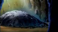 Pokemon ซีซัน 9 ตอน 9