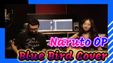 [Electric Guitar Cover] Naruto Opening Song "Blue Bird"