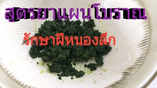 สมุนไพรรักษาฝีหนองลึก อักเสบ สูตรโบราณน้ำนมราชสีห์ หรือผักโขมแดง/ โดยฮอยไทยอีสาน