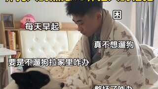 Dog Owners' Anxiety vs. Cat Owners' Relaxation