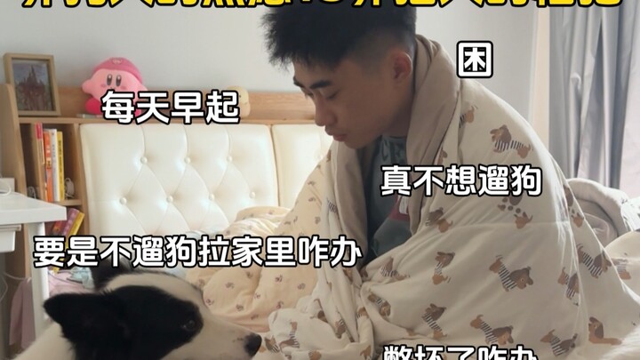 养狗人的焦虑VS养猫人的松弛