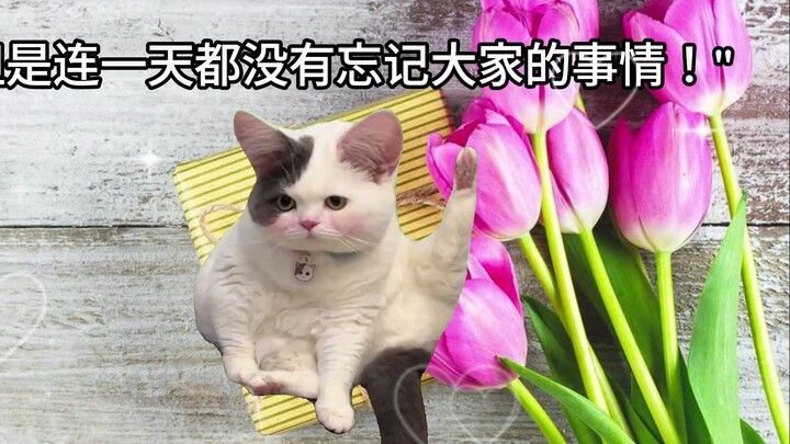 [Prologue] The reason why Japanese people who want to live in China all their lives return to their 