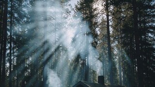 A beautiful moment.