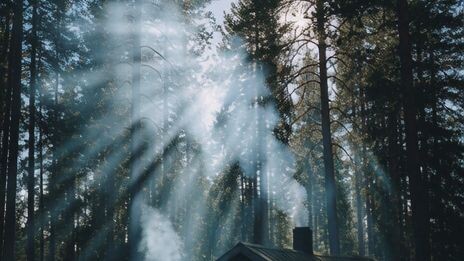 A beautiful moment.