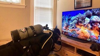 国外趣味视频集锦，看完觉得整个世界都是那么欢乐！#156