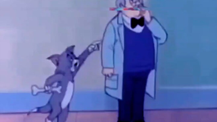 Tom and Jerry funny videos