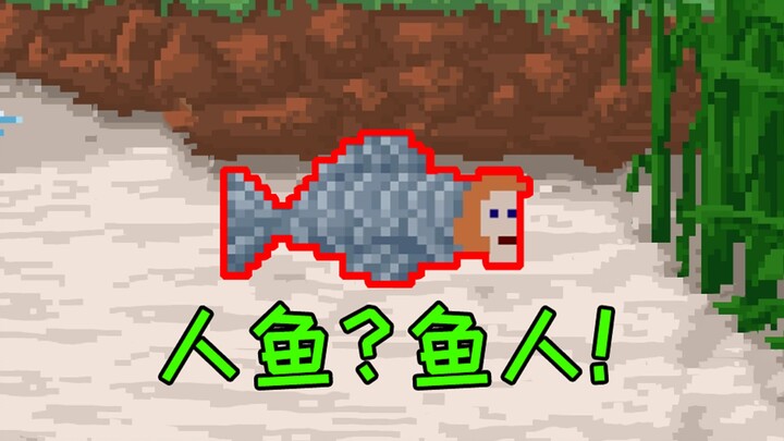 Something seems to be wrong with my evolution path.